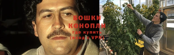 бошки Волоколамск