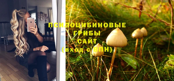 ПСИЛОЦИБИНОВЫЕ ГРИБЫ Володарск