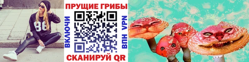 Галлюциногенные грибы ЛСД  Купить закладки  Приморск 
